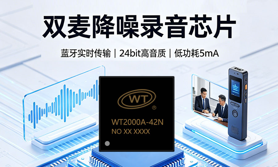 WT2000A-42N专业录音芯片