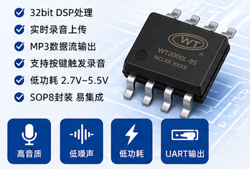WT2000L4-8S录音芯片工作原理.jpg