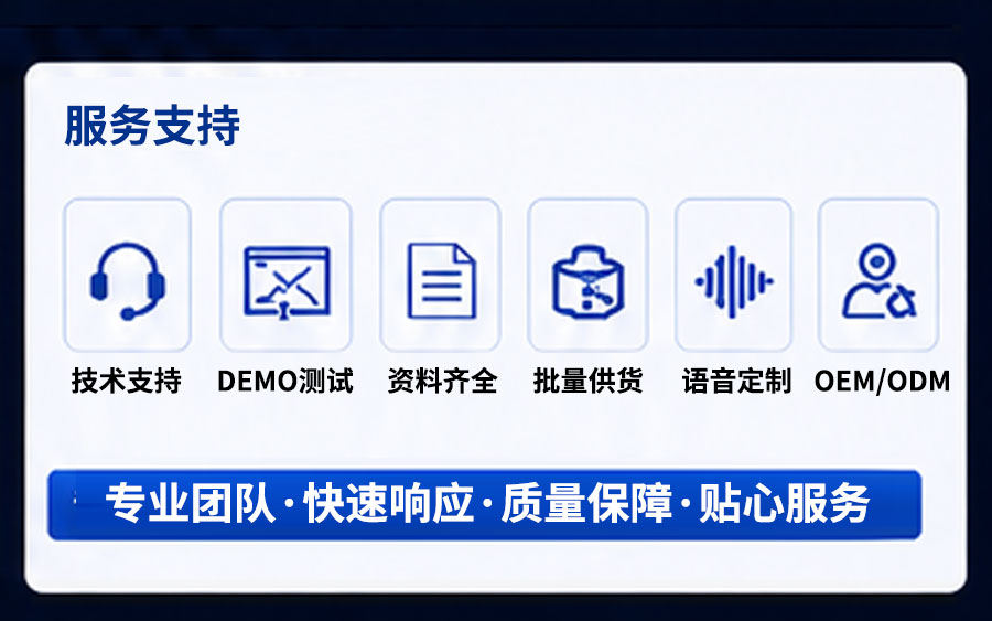 WTR096A-16S 录音芯片服务支持.jpg